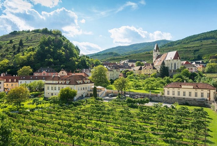 Stierschneider's Weinhotel Wachau