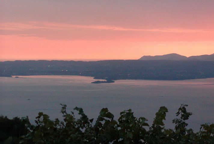Laguna