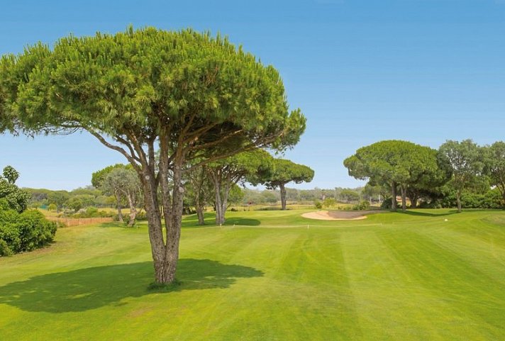 Iberostar Waves Royal Andalus