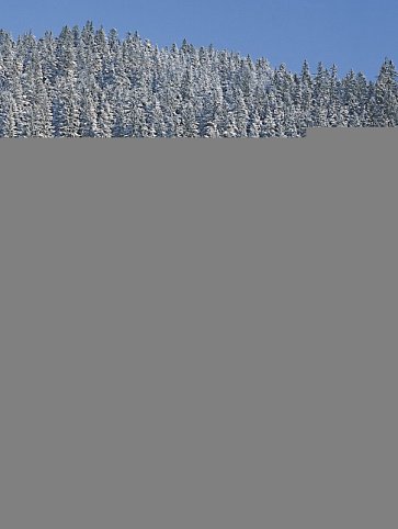 Best Western Plus Schwarzwald Residenz