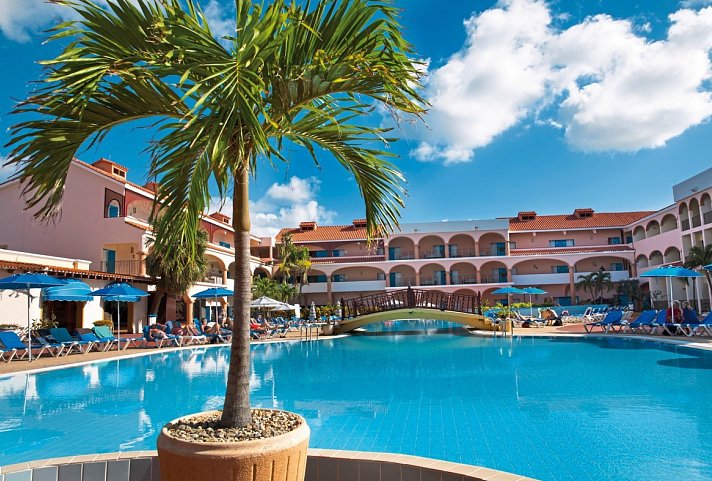 Starfish Cuatro Palmas