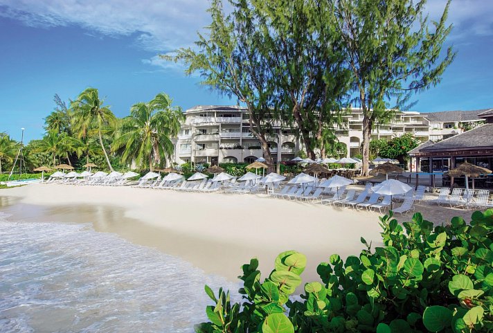 Bougainvillea Barbados
