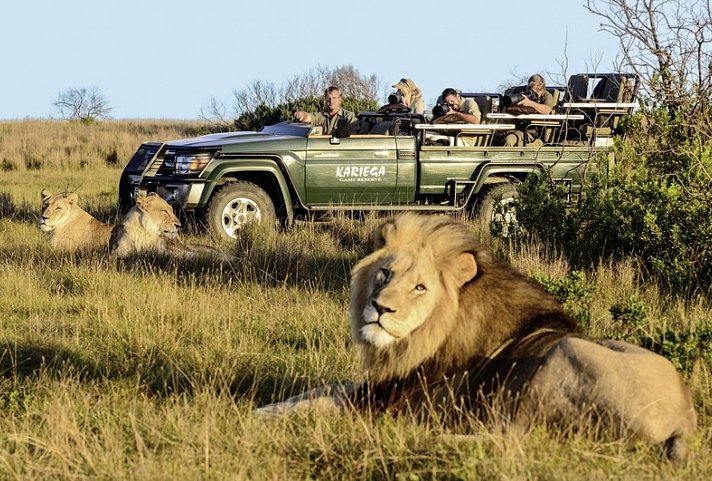 Kap Sinfonie - Kleingruppenreise - Pirschfahrt im Kariega Game Reserve