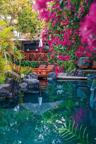 Poppies Bali