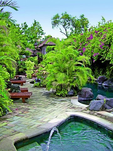 Poppies Bali