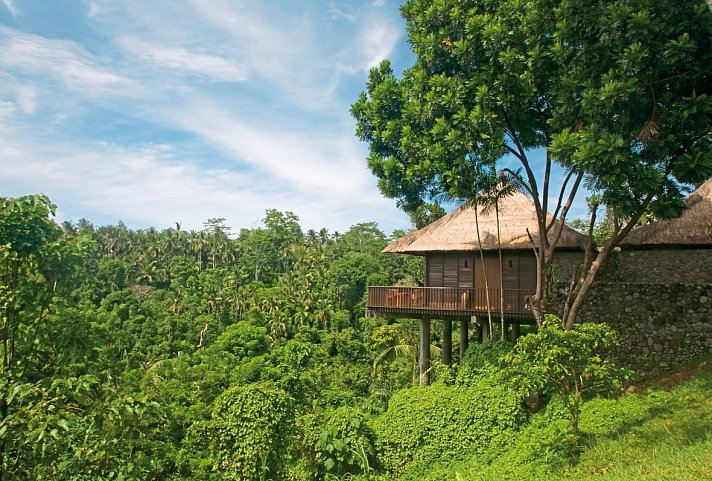 Alaya Ubud