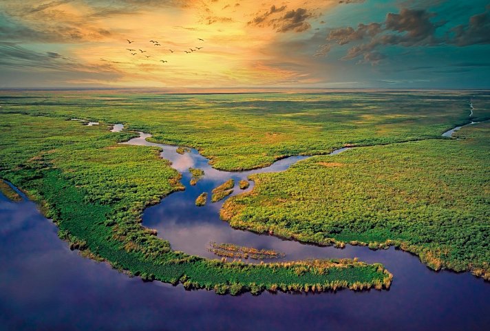 Best of Florida - Everglades Nationalpark