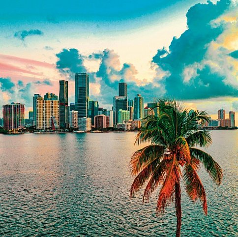 Florida Sunshine State Adventure