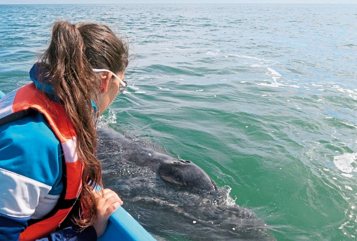 Mietwagenreise Baja California - Lagune Ojo de Liebre