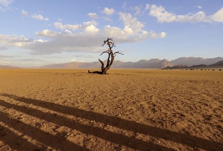 Made in Namibia