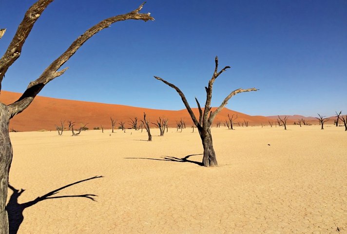 Traumreise Namibia