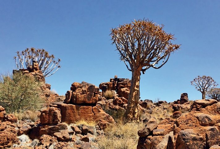 Traumreise Namibia