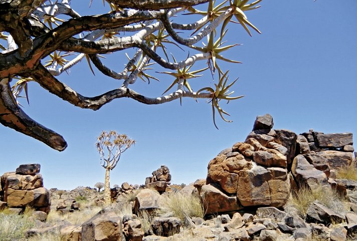 Best of Namibia Superior