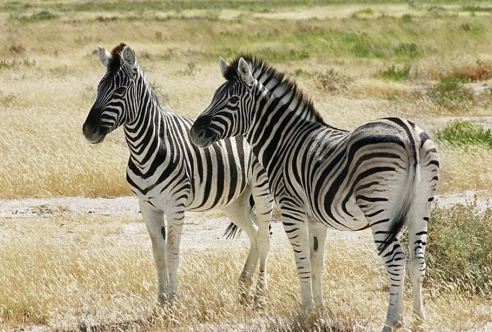 Best of Namibia Superior